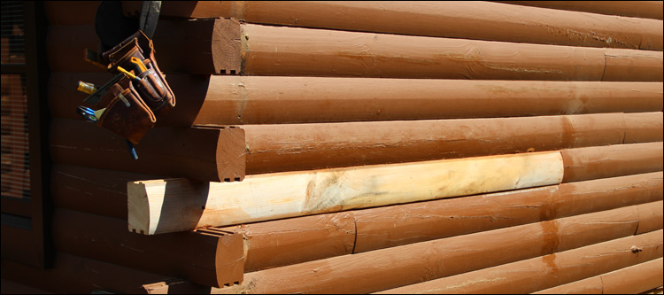 Log Home Damage Repair  Hillsborough,  North Carolina